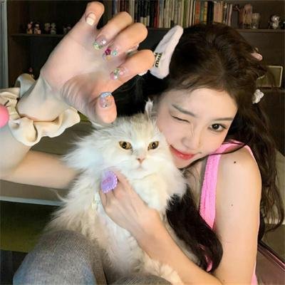 托米和灵猫
